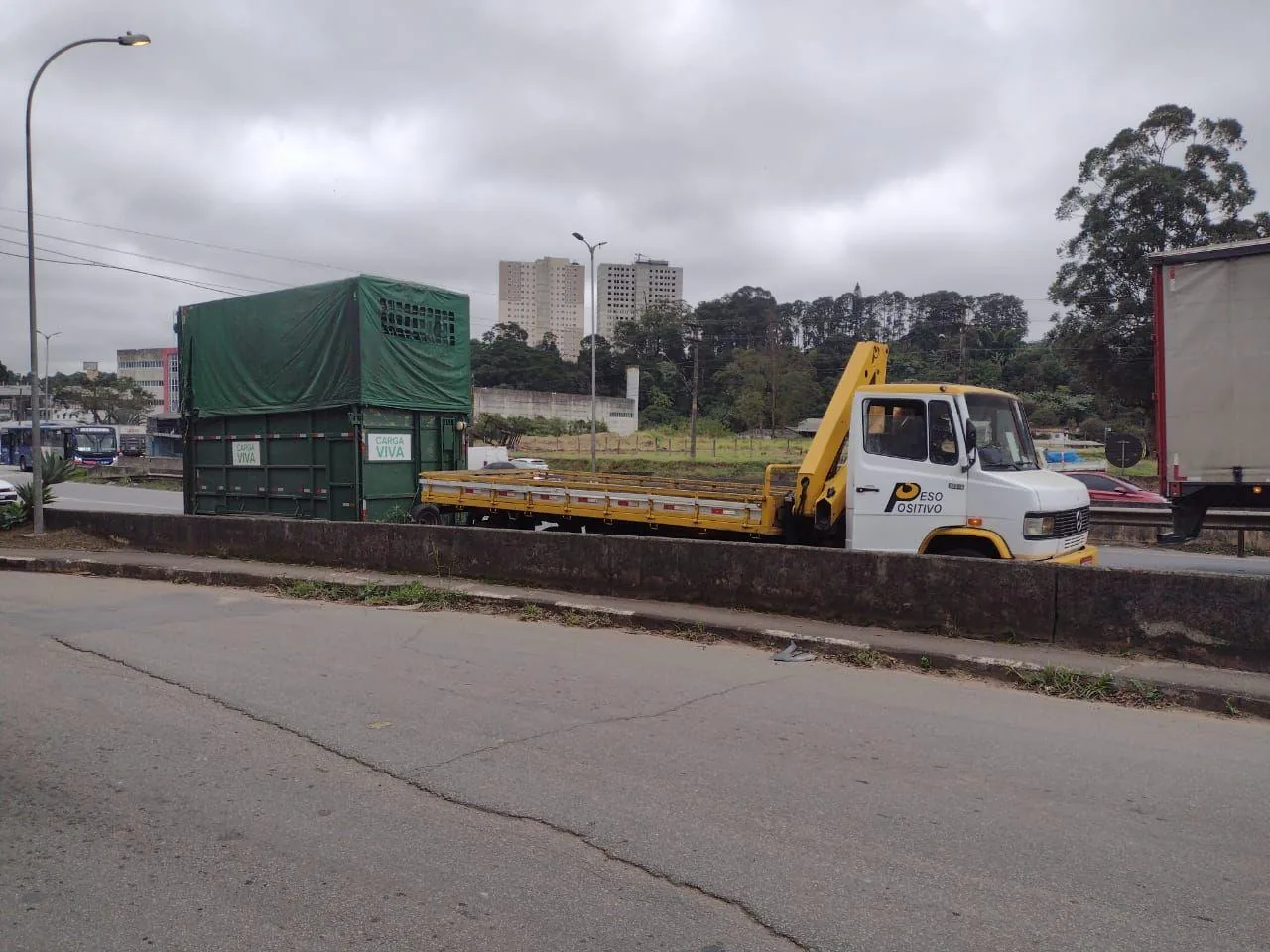 Caminhão Mercedes-Benz branco do Peso Positivo com guindaste munck amarelo rebocando carreta rebaixada com caixa verde de transporte de girafa de 5,20m no acostamento de rodovia