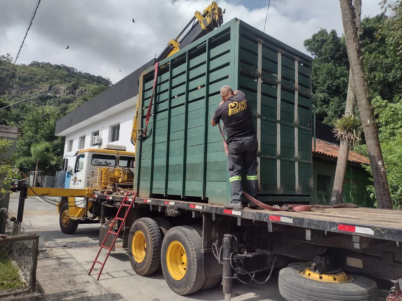 Funcionário do Peso Positivo prendendo caixa verde de transporte de animais com cintas vermelhas no caminhão munck no Zoológico de São Paulo