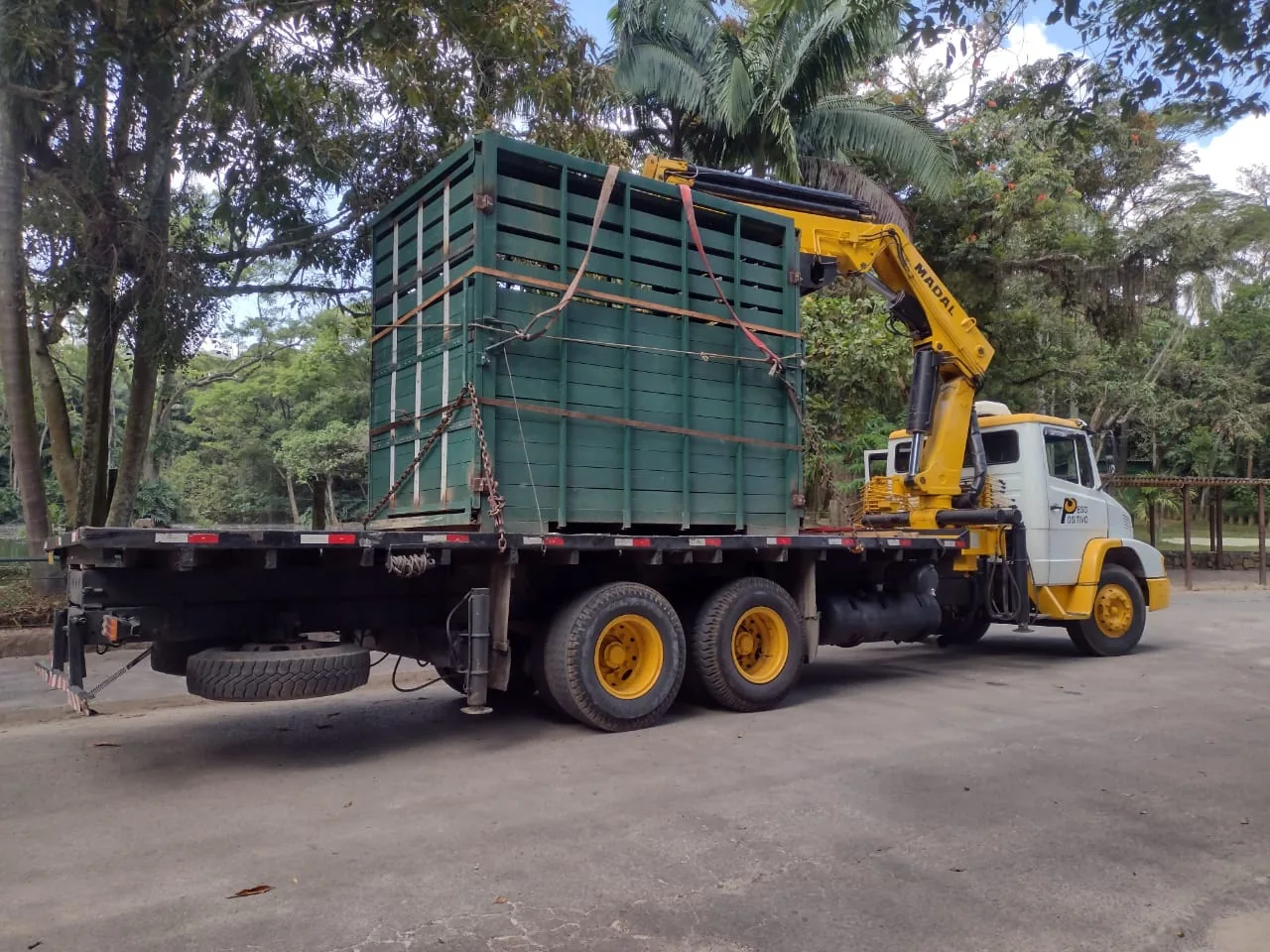 Caixa verde de transporte de animais presa com cintas e correntes na plataforma do caminhão munck do Peso Positivo no Zoológico de São Paulo